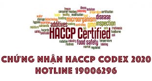 chung nhan haccp codex 2020