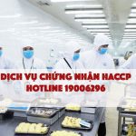 HACCP CODEX 2020